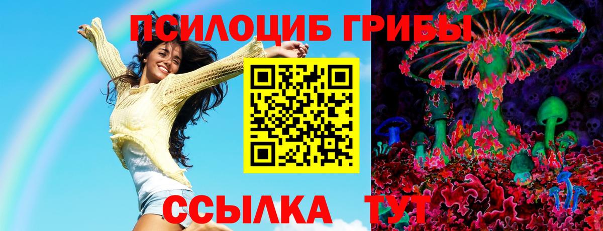 Галлюциногенные грибы Psilocybe Долгопрудный
